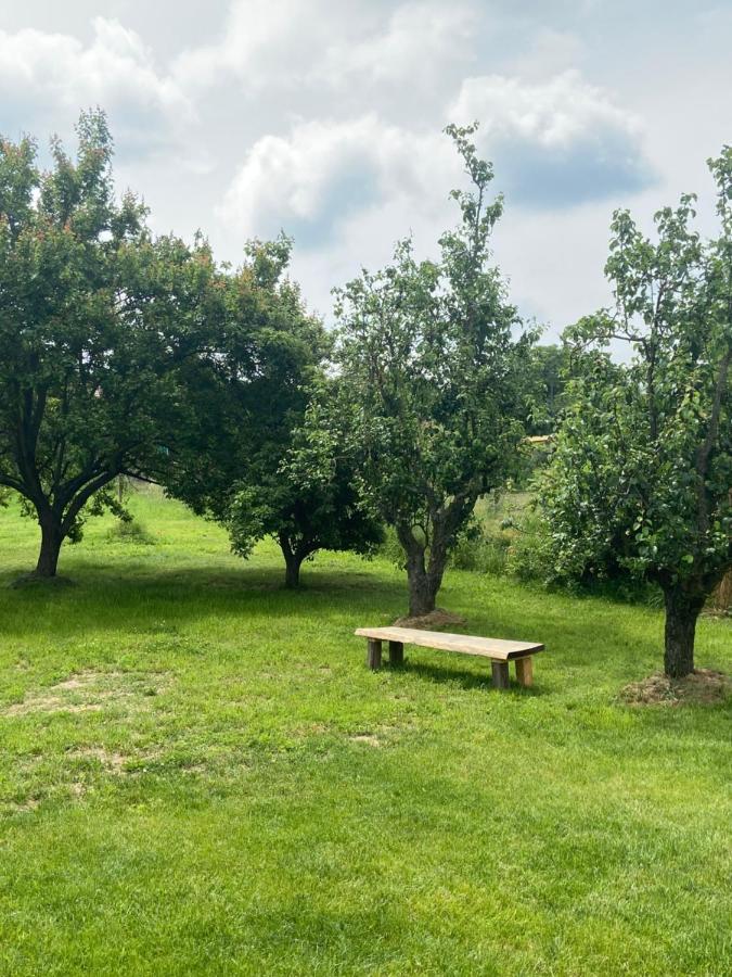 Holiday Home Znojmo W/ Wellness & Wine 外观 照片